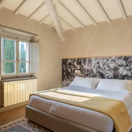 Il Barattino 12